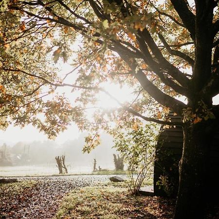 Caplor Glamping & Lodges Hereford Exteriér fotografie