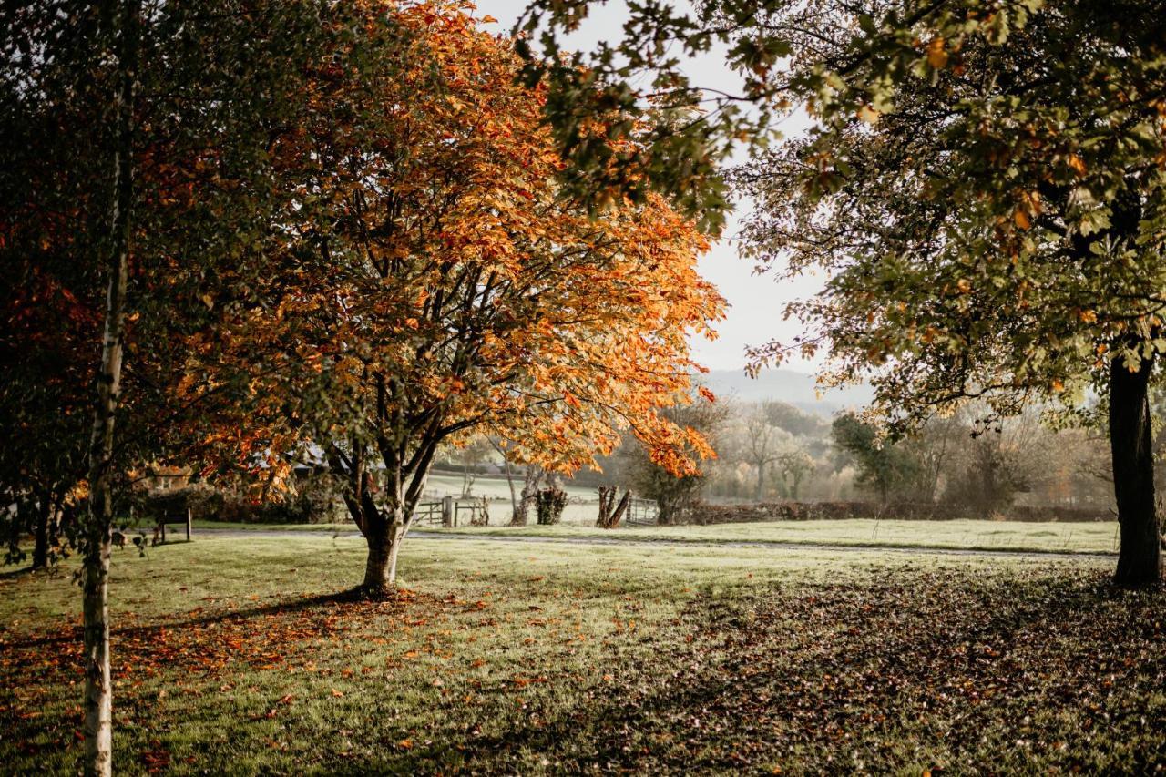 Caplor Glamping & Lodges Hereford Exteriér fotografie