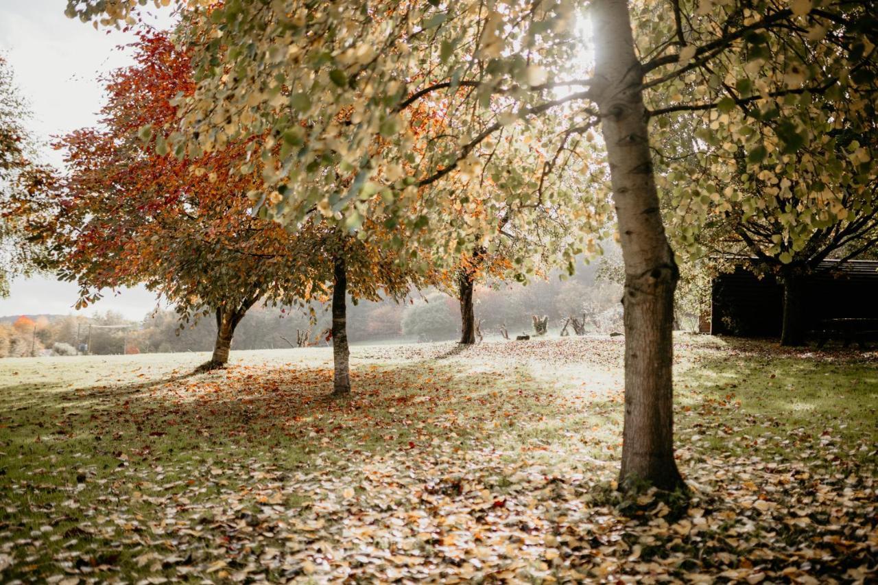 Caplor Glamping & Lodges Hereford Exteriér fotografie