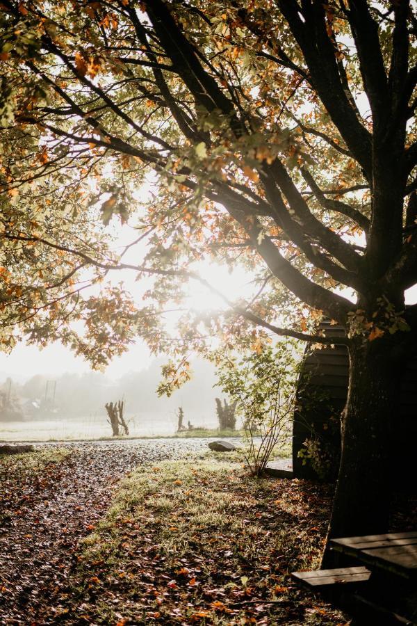 Caplor Glamping & Lodges Hereford Exteriér fotografie